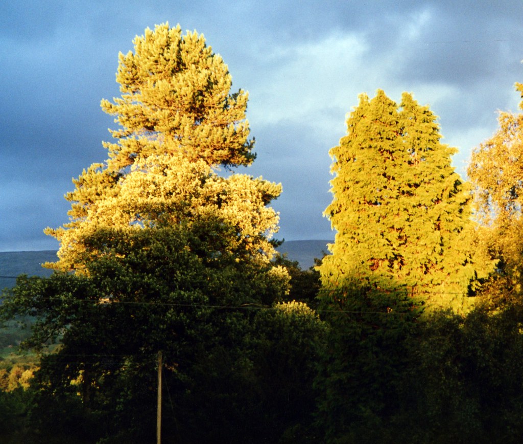 Loftus Manor Sedbergh wooiwoo Flickr