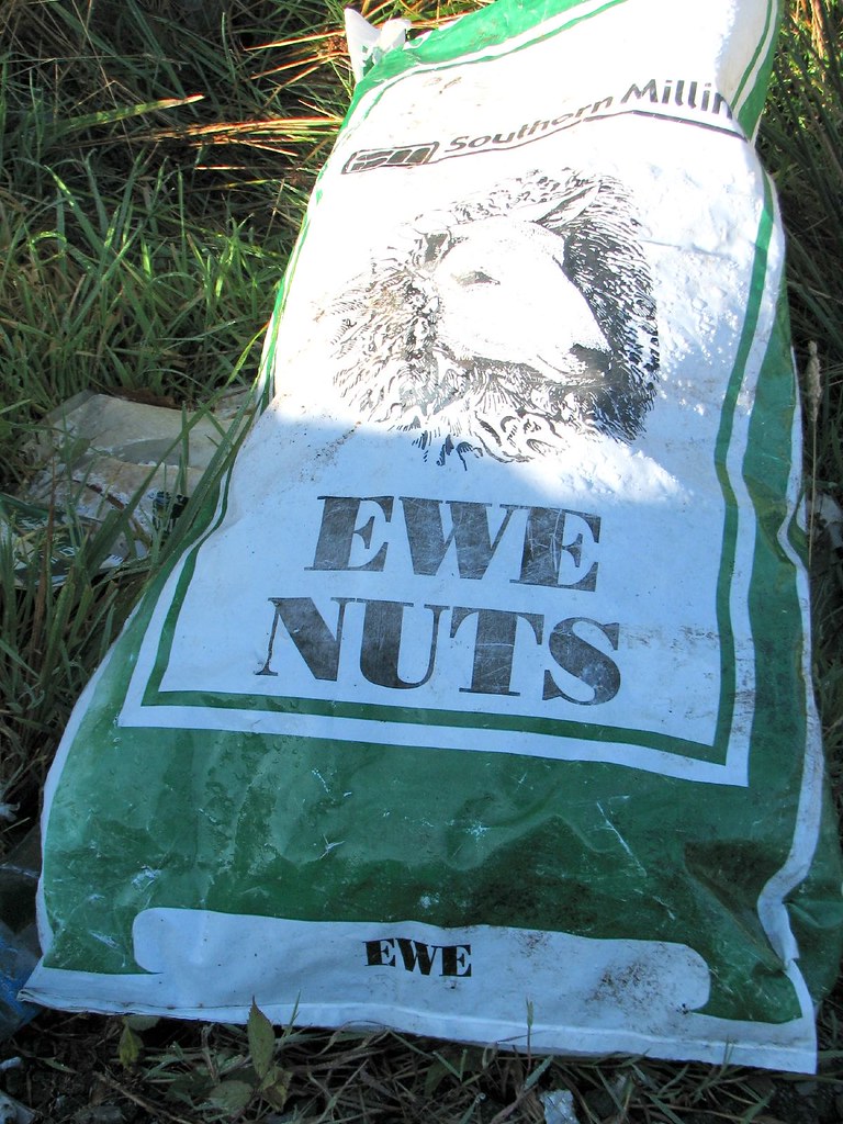 Let's Face It, Ewe Nuts... Dan Noon Flickr