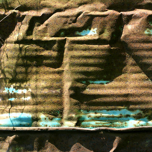 terrarium vancouver 09 Nolan b Flickr