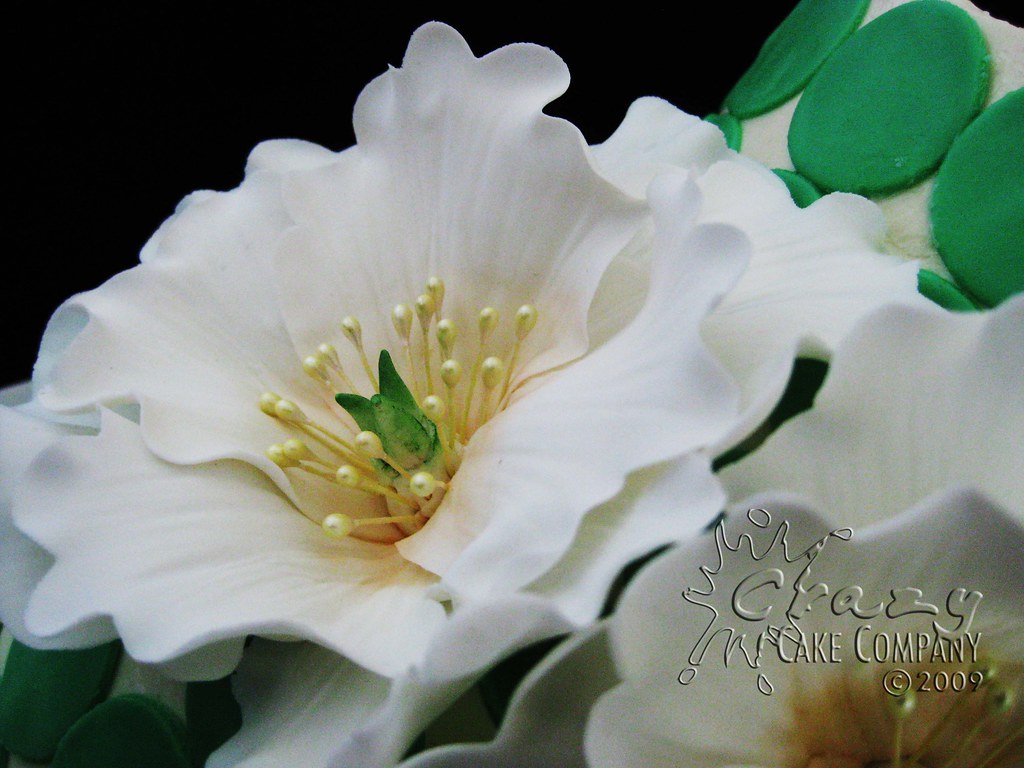 Gumpaste flower closeup Flickr