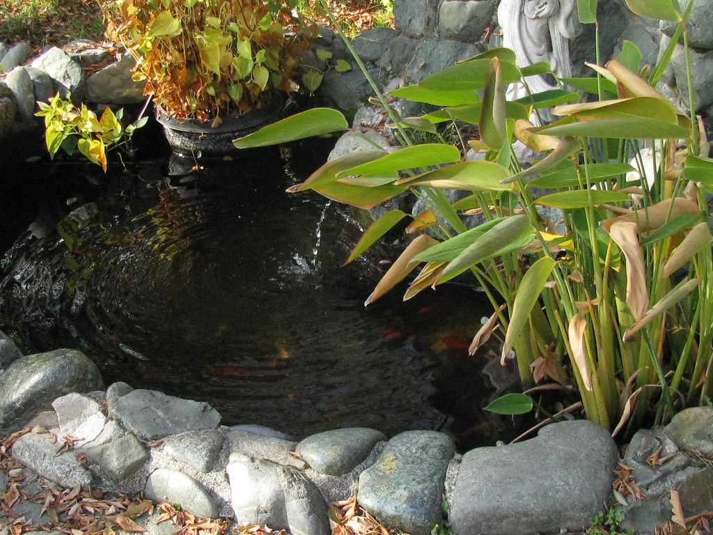 aprilphotojosshouse 003 April Carpenter Flickr