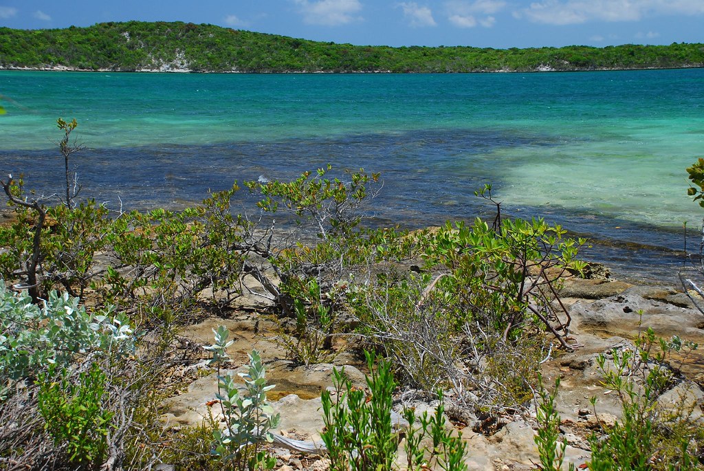 Half Moon Cay's Bonefish Lagoon David Lewis Flickr