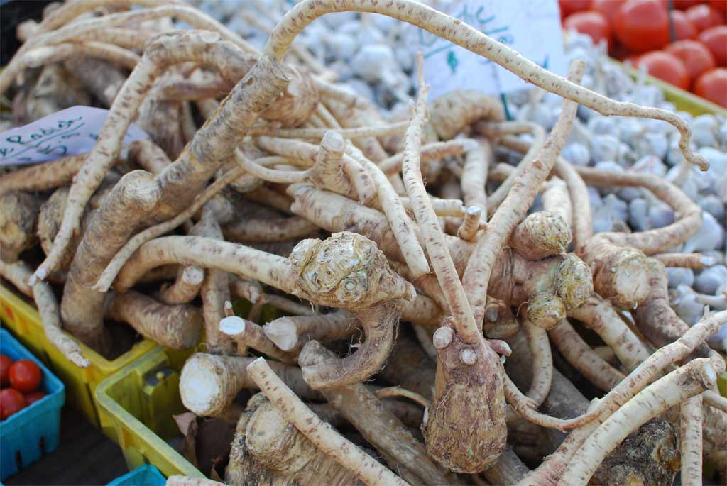 horseradish Market Watch Horseradish Howard Walfish Flickr