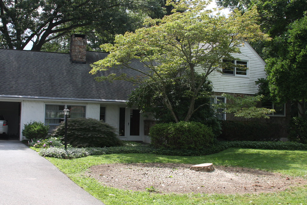 Shreiner Tree Care Flickr