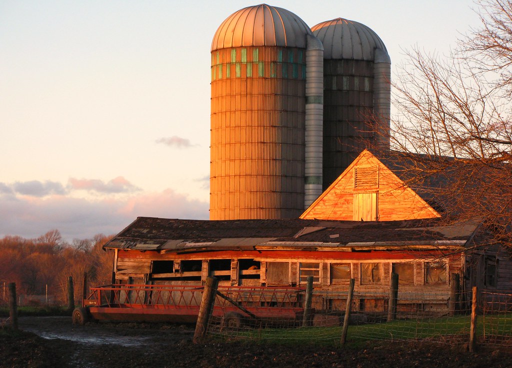 Wallingford farm November sunset This was a "pull the ca… Flickr