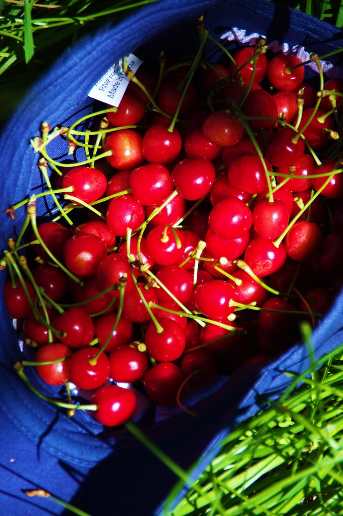 20,000 CFS Main Salmon June 30 July 4 107 zacharyrogala Flickr