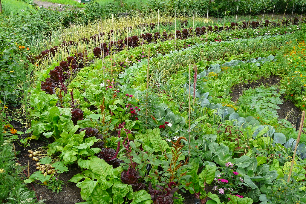 Vegetable Vista Vegetable Garden, Eden Project, Cornwall. â€¦ Flickr