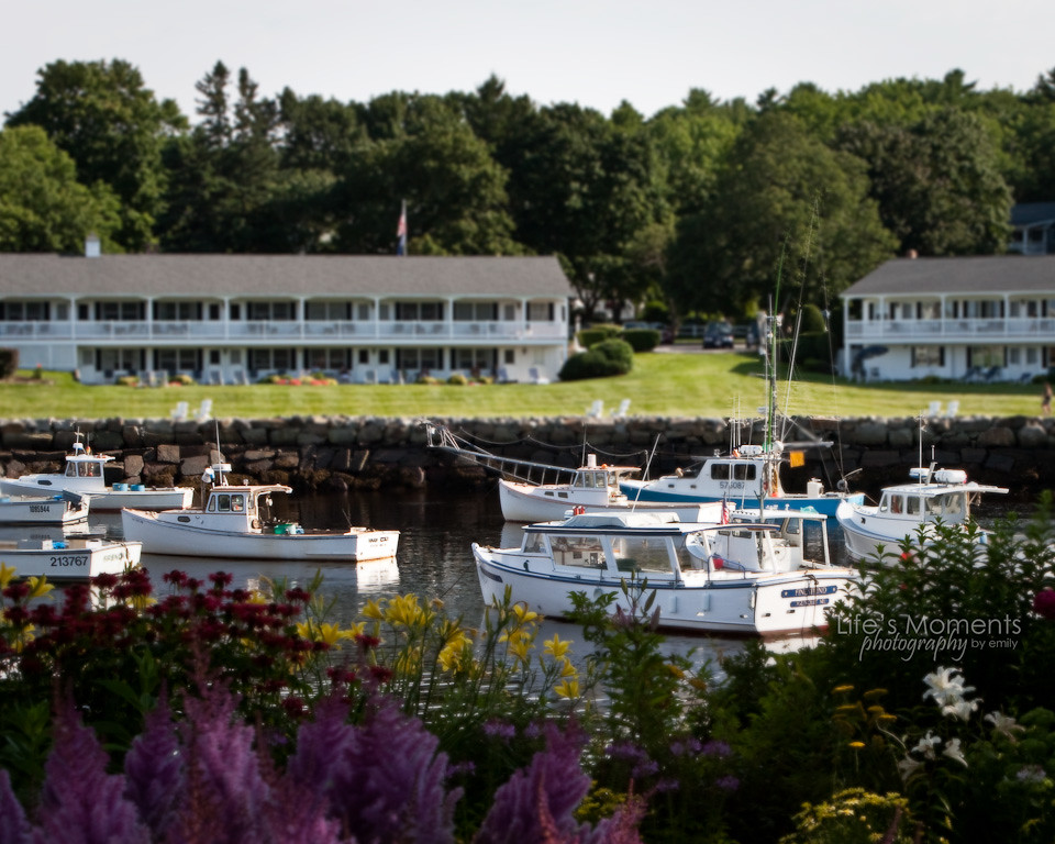 Ogunquit, Maine Harbor Copyright © 2009 Emily Goedesky. Al… Flickr