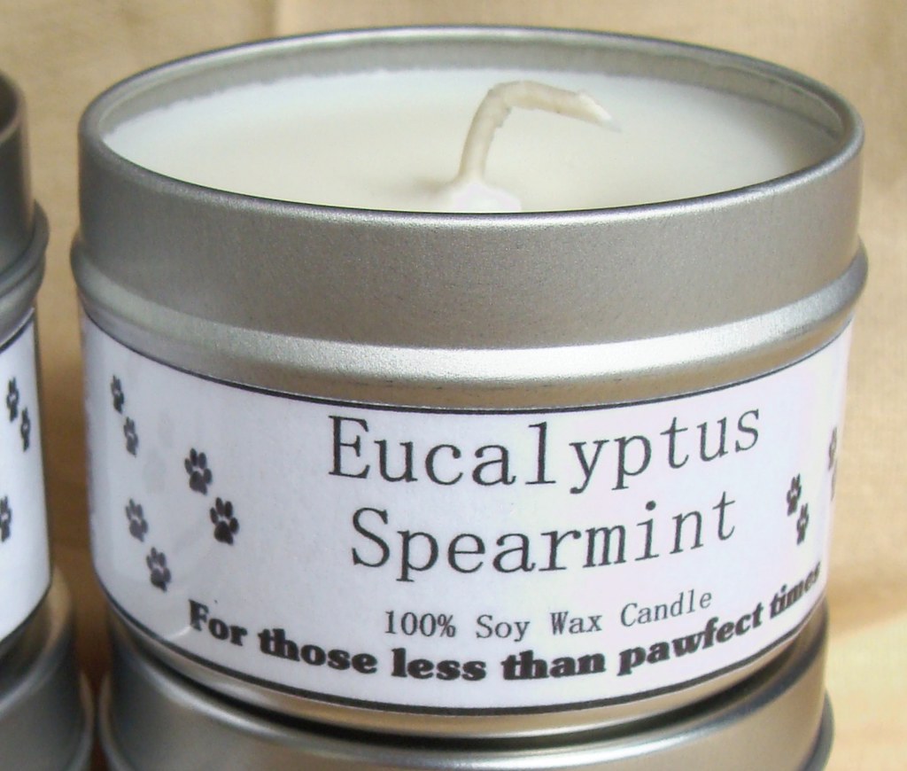 No More Stink Dog Candle Eucalyptus spearmint scented Flickr