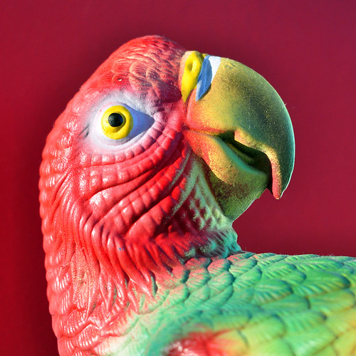 plastic parrot taken with a Russian Helios44 58mm f2 M42 … Flickr