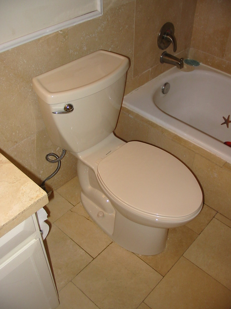 New Toilet Replaced the terribly old toilet upstairs. This… Flickr
