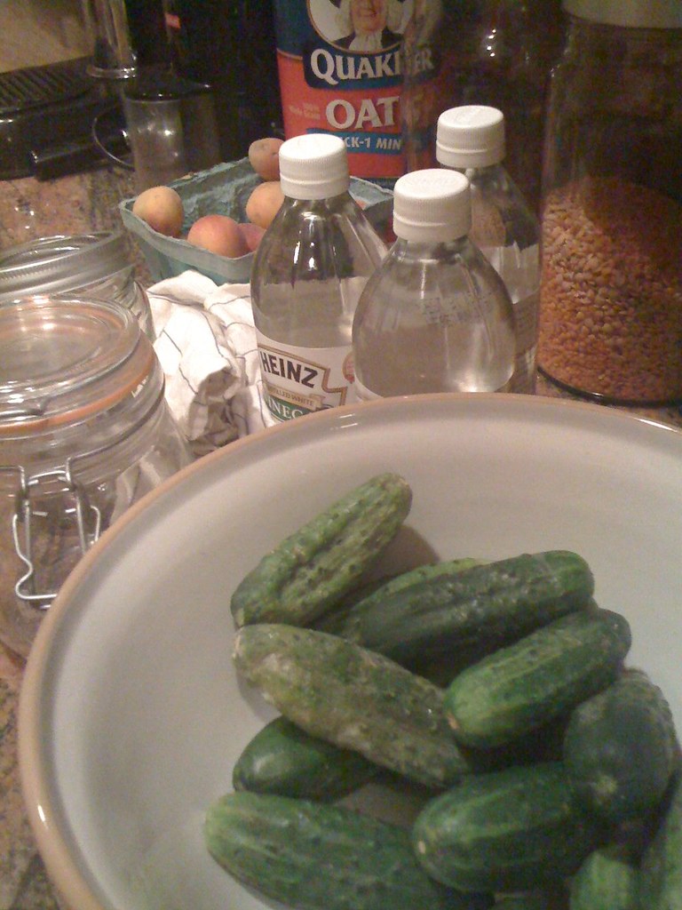 Kirby cucumbers for pickling Nigelito Flickr