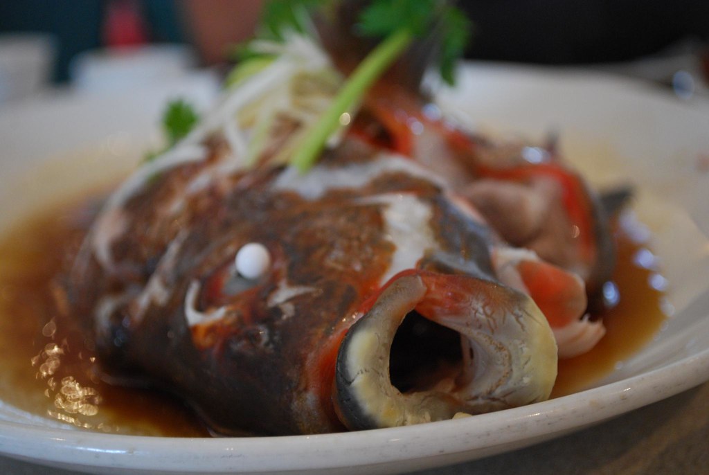 Fish Lips Morwong The Treasure AUD107 2.8lbs Morwong A… Flickr