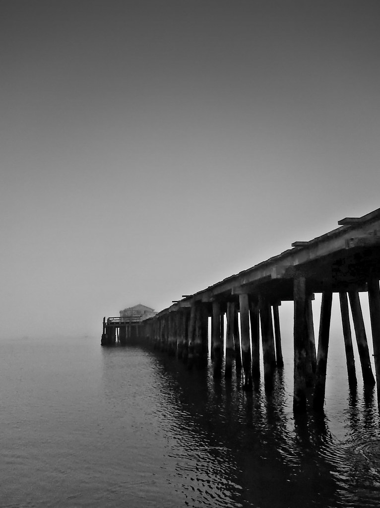 Foggy Pillar Point Harbor Half Moon Bay, California. Palm … Flickr