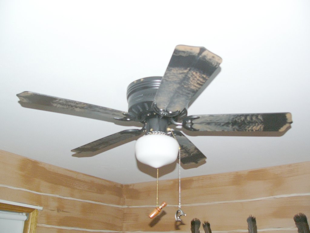 P1090558 Turkey Feather Ceiling Fan D.cim Flickr