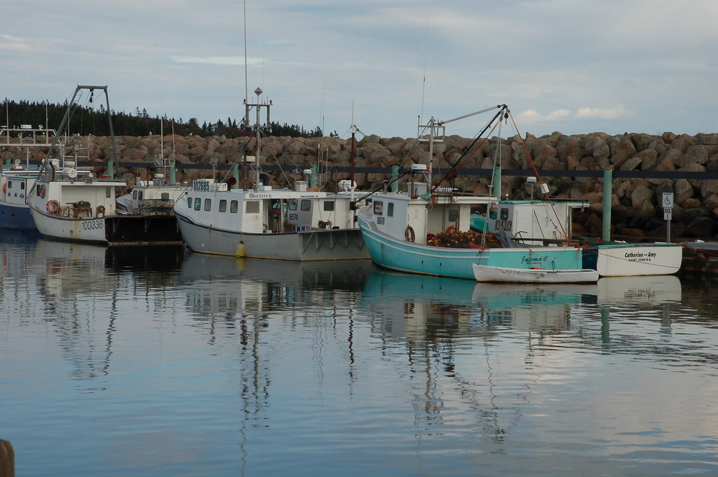 DSC_0087 Dipper Harbor Warf Terri Roth Flickr