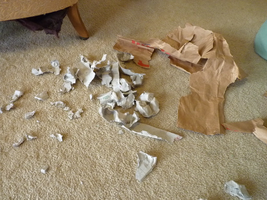 puppy destruction He loves to rip stuff up. normanack Flickr