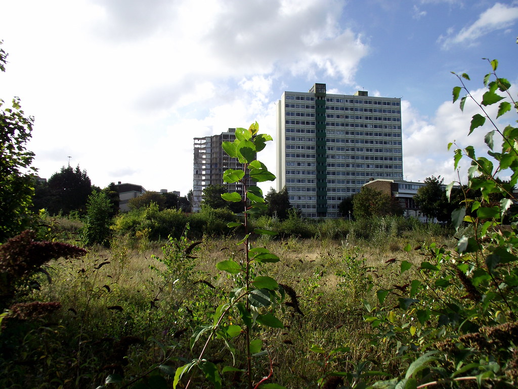 CHANDLESS ESTATE GATESHEAD 2013 (13) john m berry Flickr