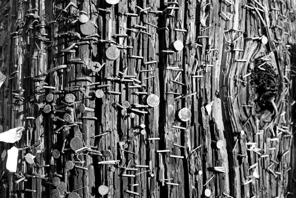 Nails, Staples on a Telephone Pole A telephone pole in Tak… Flickr
