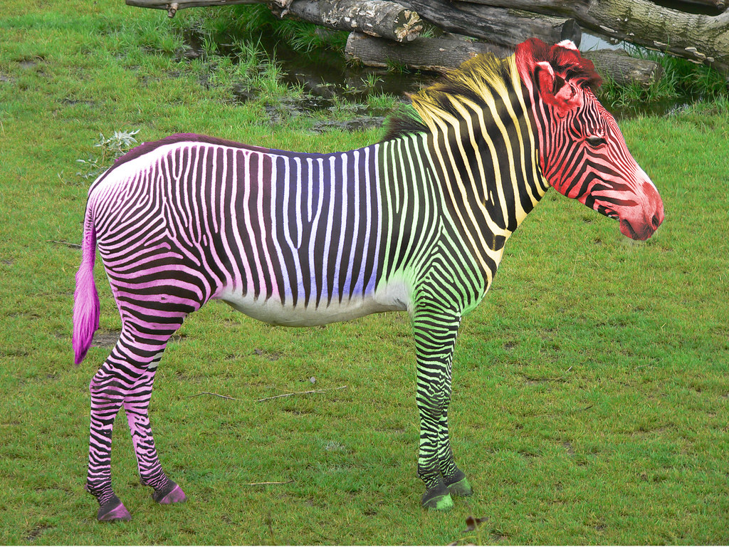 rainbowzebra Connor Vick Flickr
