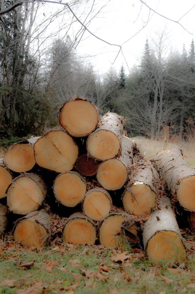 Thorndike, Maine Renée Johnson Flickr