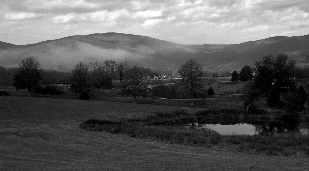 Vista Crozet, VA Funky Tee Flickr