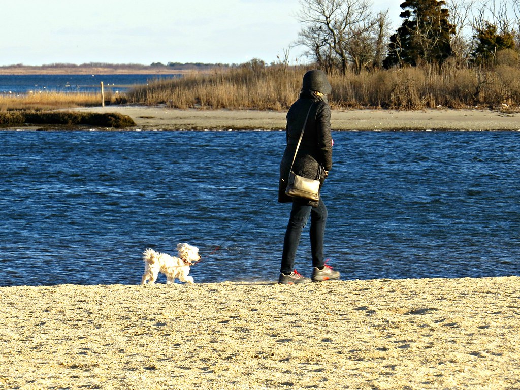 Philip B. Healey Beach at Florence Avenue, Massapequa, New… Flickr