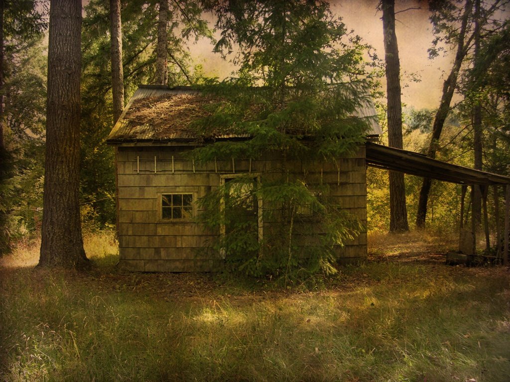 Abandoned A old abandoned cabin in Roseburg Oregon Stephanie Horner Flickr