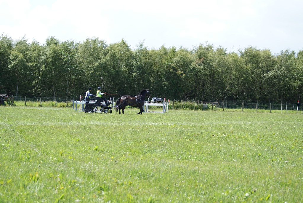 flowdons H D T 207 Dumfries and Galloway Horse Driving Club Flickr