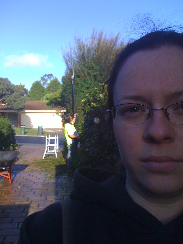 Tree getting pruned (204/365) I slept through my alarm tha… Flickr