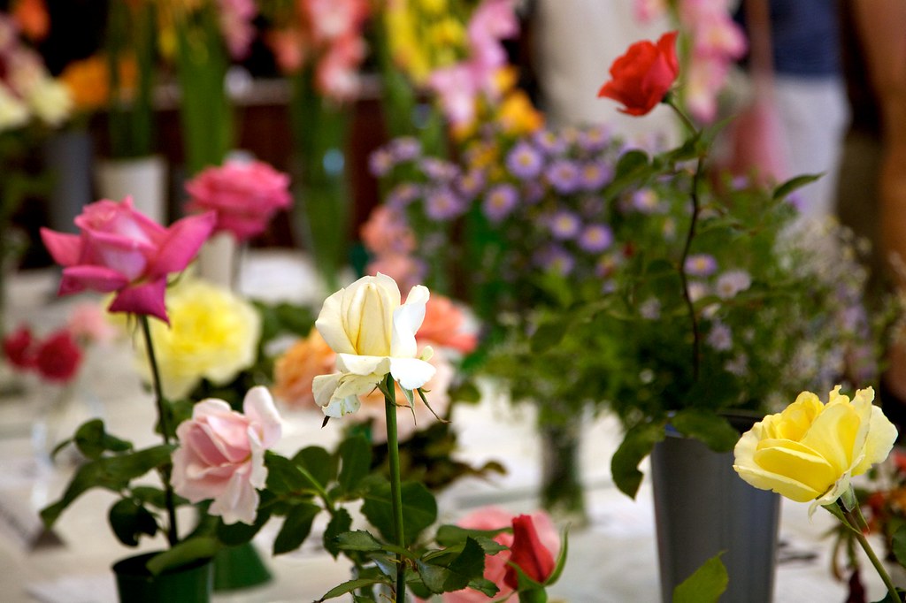 Chalfont St Peter Garden Club Annual Flower Show 22nd Au… Flickr