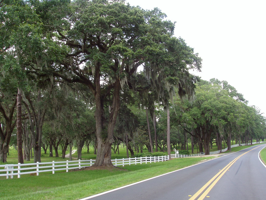 Pinckney Hill Plantation Jefferson County Florida Flickr