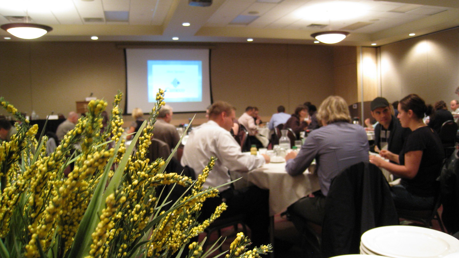 Saskatoon Networking Luncheon 2009 Flickr
