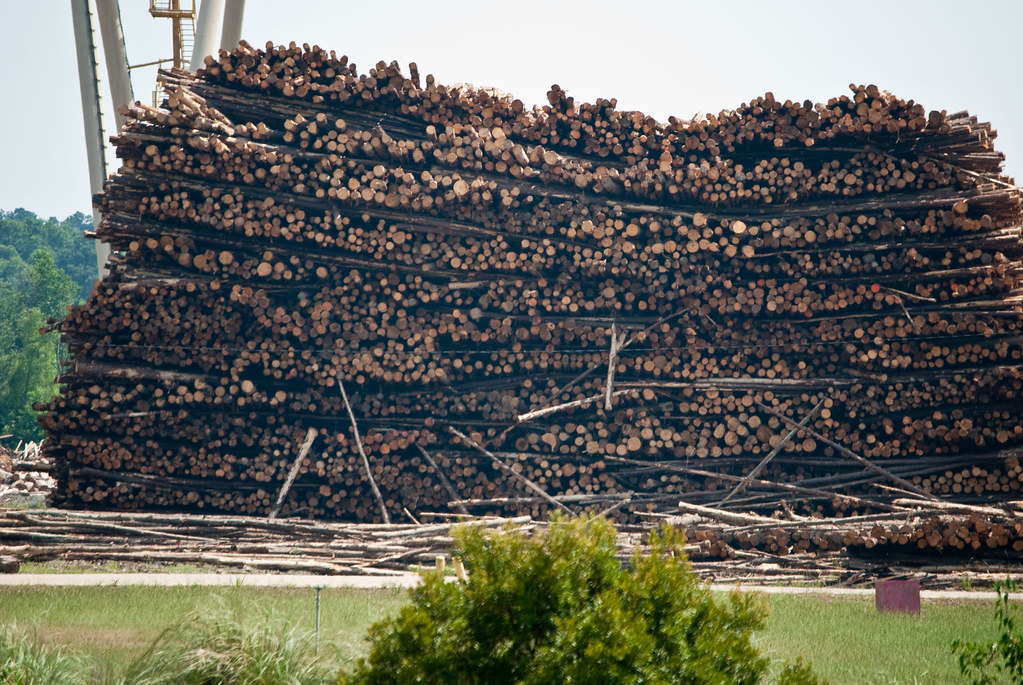 Weyerhauser Crane, Simsboro LA (4 of 23) Michael Welch Flickr