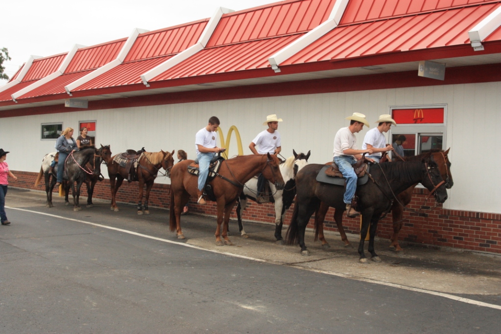 Mule Days 2009 Benson, NC roadgld01 Flickr