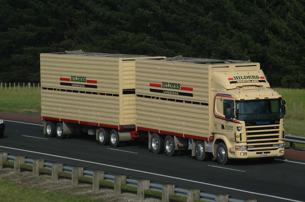 Flickriver Photoset 'NZ Trucks; Livestock trucks' by hilifta