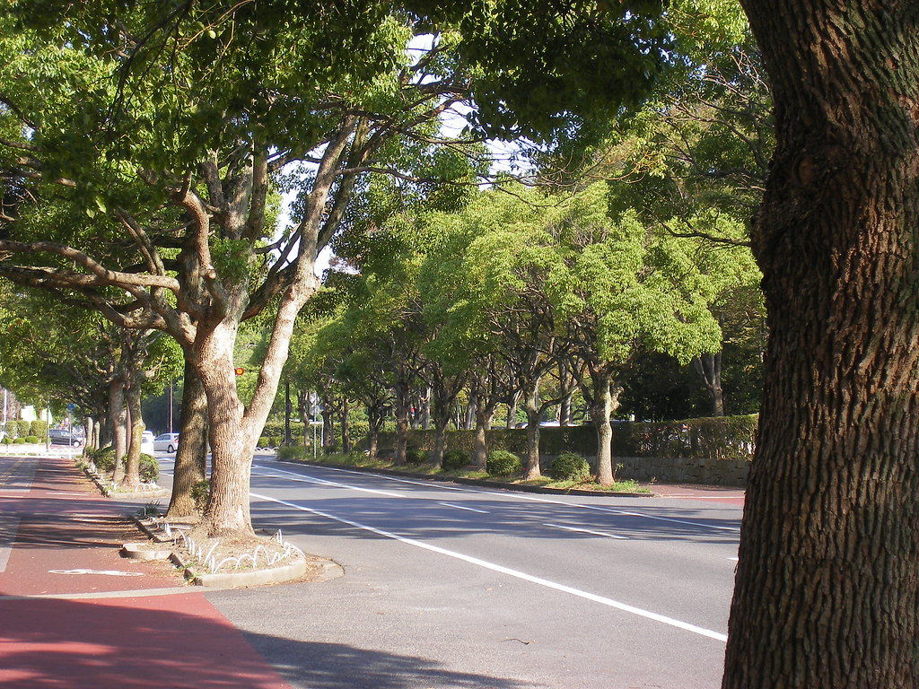 HigashiOhmi, Shiga rockriver Flickr