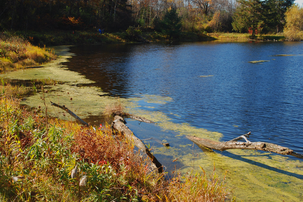 Bensons Animal Park Hudson NH 2009 DSC_7365 jcfreed_1999 Flickr
