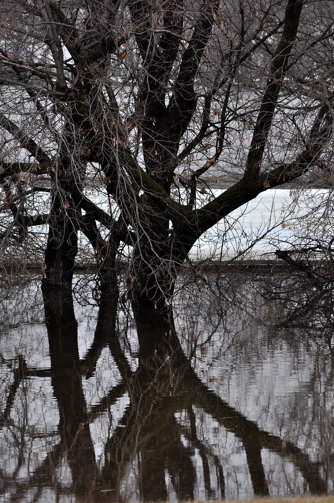 near the boat landing Abercrombie Faylin Myhre Flickr