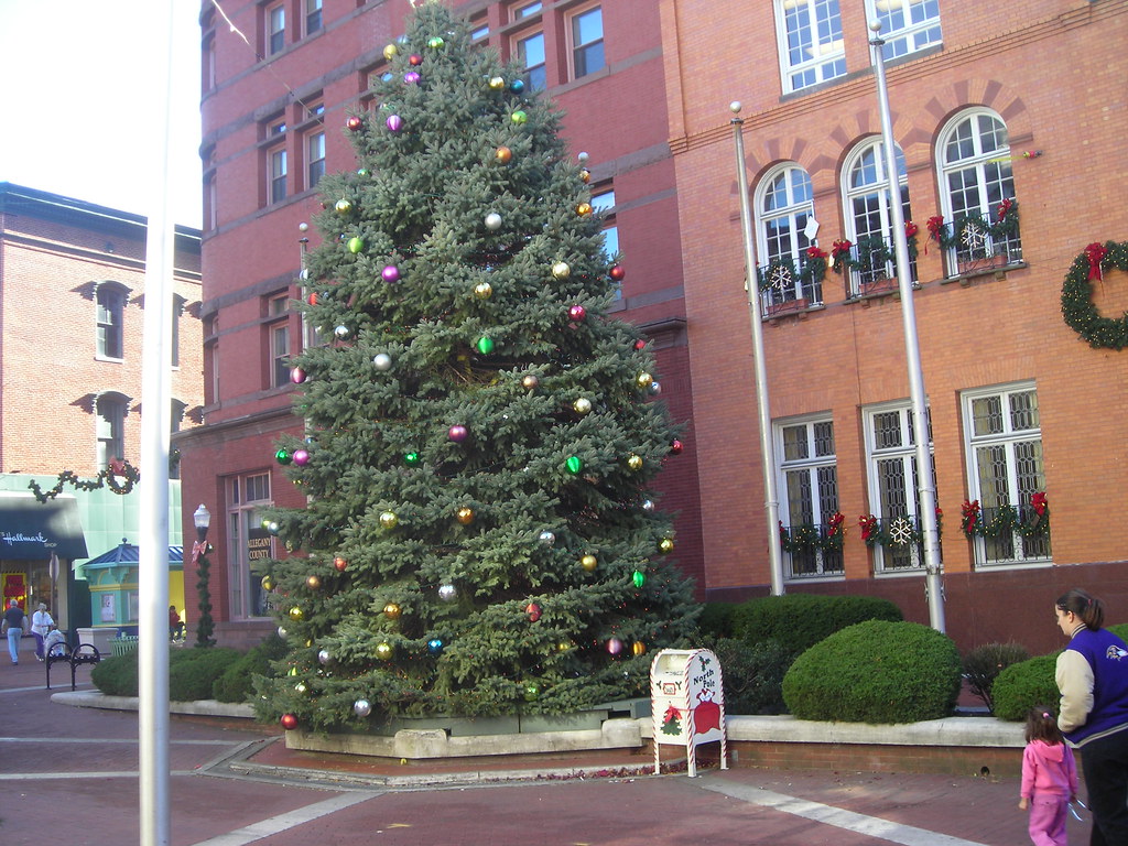 christmas tree downtown cumberland maryland christmas tree