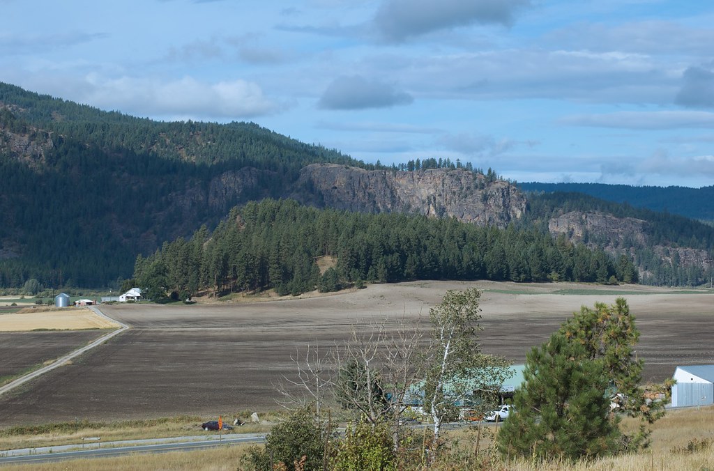 Pine Tree Island Michael Teas Flickr