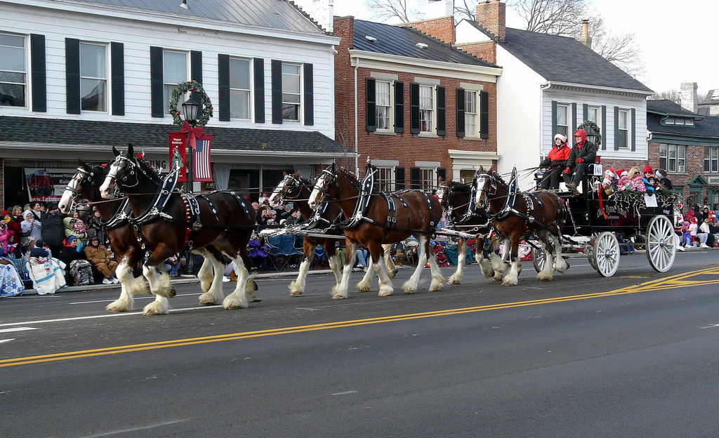 2009 Lebanon, Ohio Carriage Parade FireflyFan Flickr