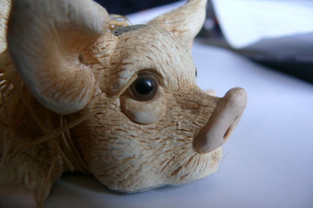 Pig's a**? Are you serious? Well yeah swine flu is serious… Flickr