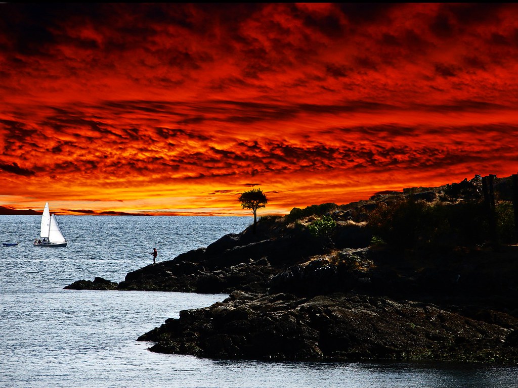 Life is Beautiful .. ( Explore ) inspired after watching t… Flickr