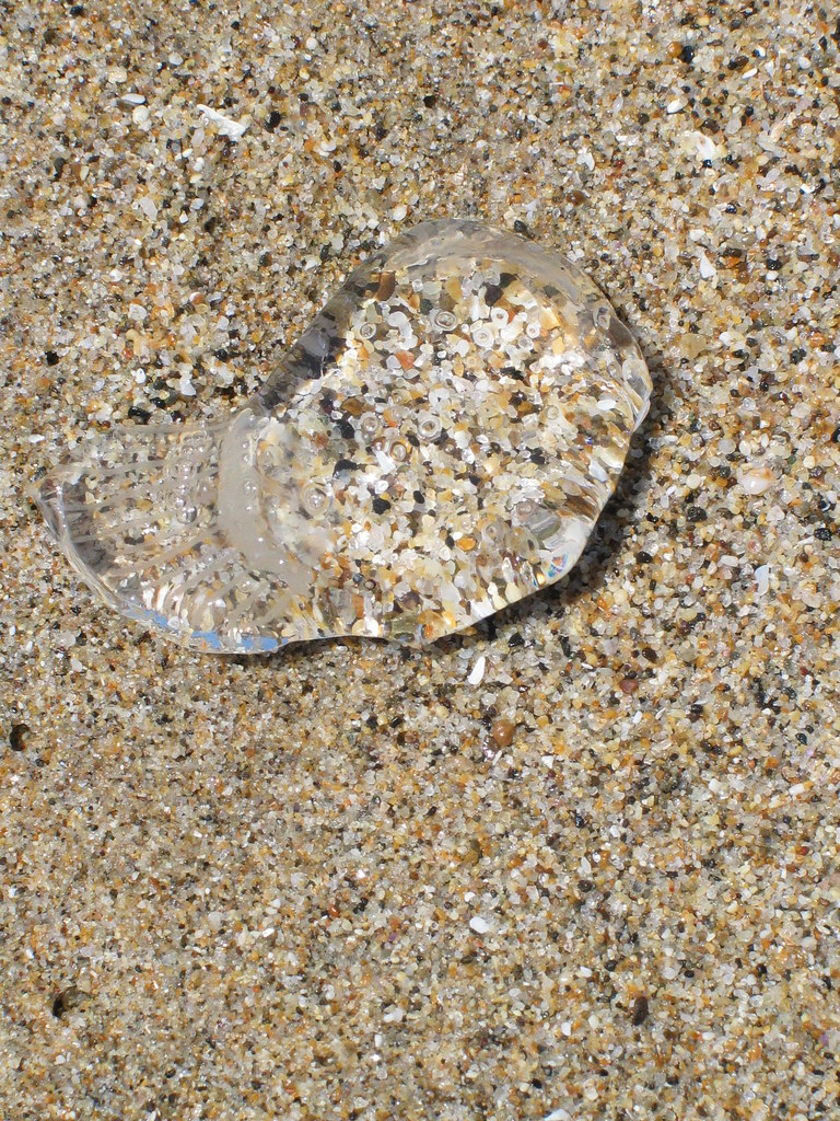 Clear Jelly Here is a clear gelatinous one. Bryn Dole Flickr