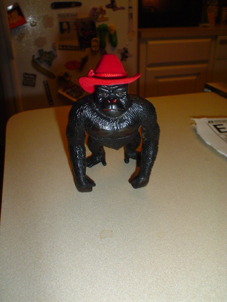 gorilla with a cowboy hat because all primates like to loo… Flickr