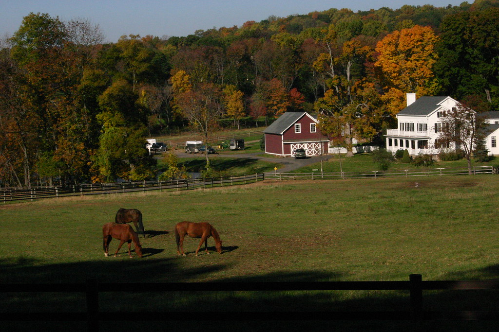 Horse farm on Roxitticus Rd. Dalton Flickr