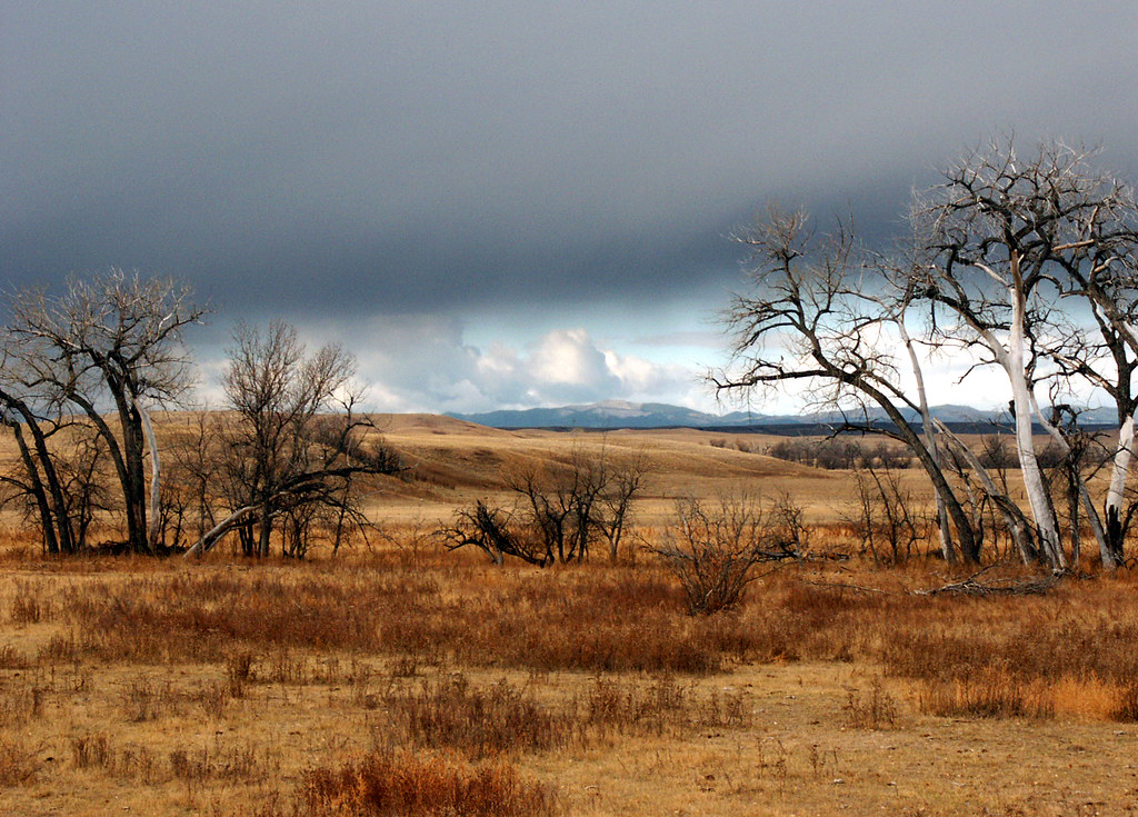 Near Fairburn, SD low sky, looking toward the Black Hills Winston