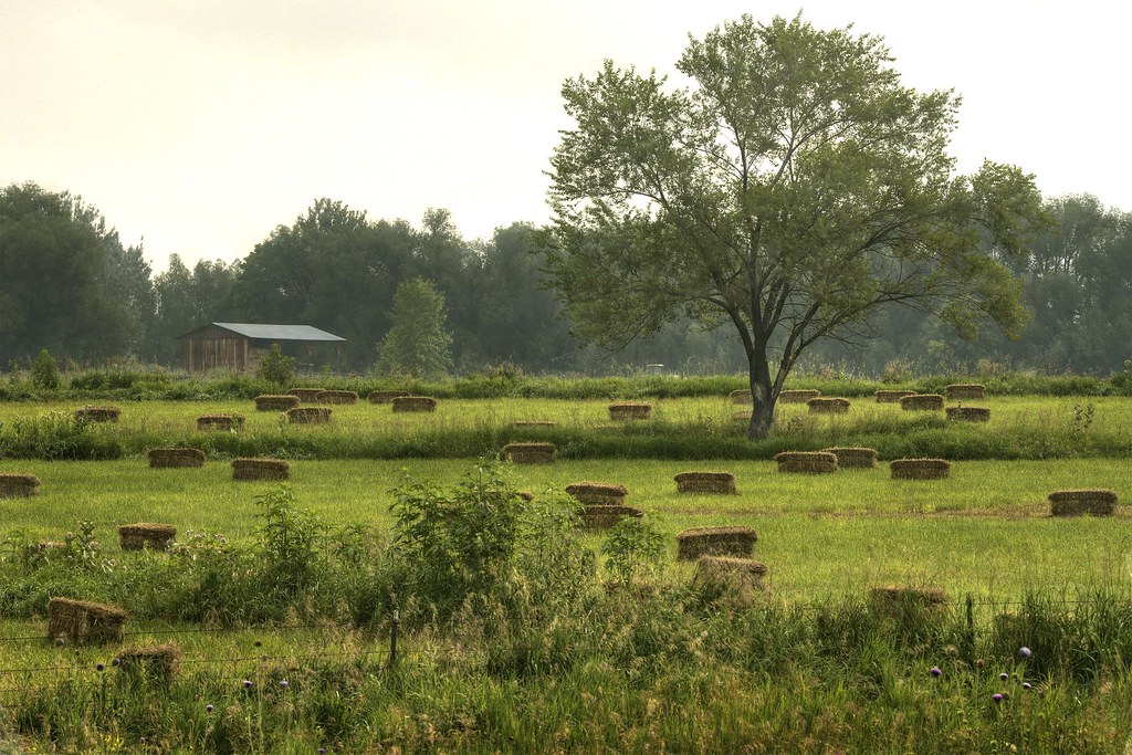 Bales in Boulder County Boulder County, Colorado Flickr