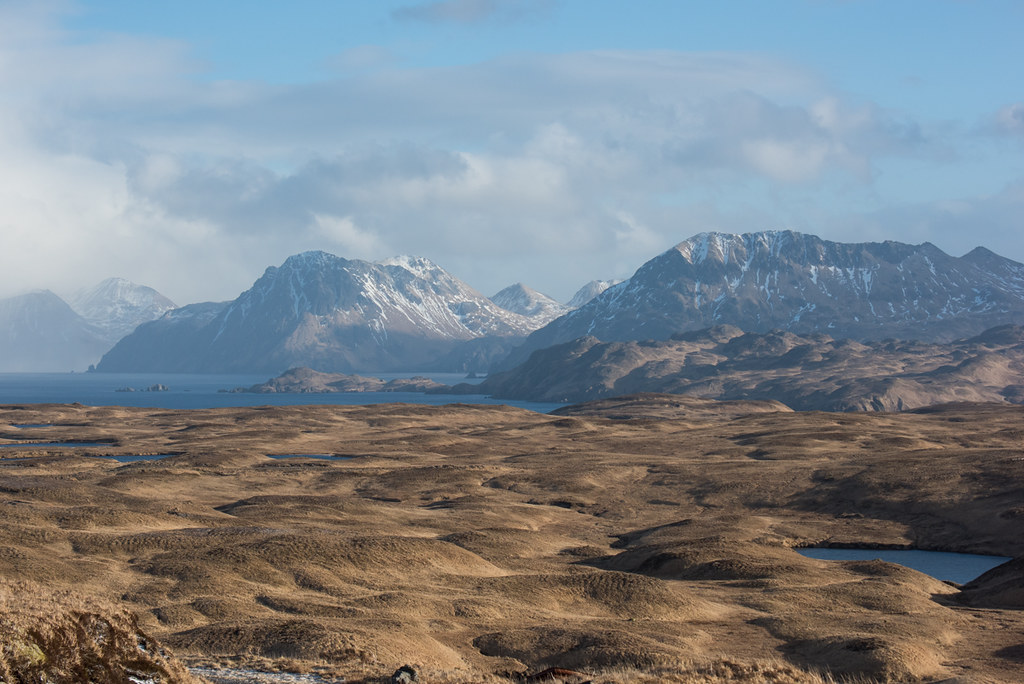 Adak, Alaska, last day of 2016 Photo by John Weigel Global Wildlife Conservation Flickr